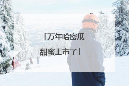 万年哈密瓜甜蜜上市了