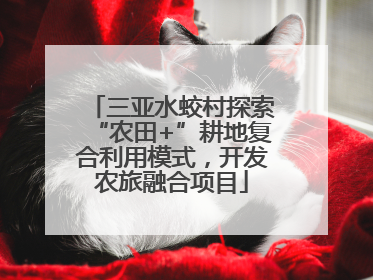 三亚水蛟村探索“农田+”耕地复合利用模式，开发农旅融合项目