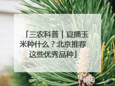 三农科普｜夏播玉米种什么？北京推荐这些优秀品种