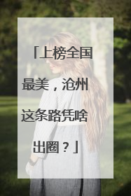 上榜全国最美，沧州这条路凭啥出圈？