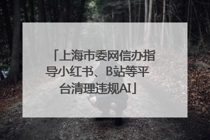 上海市委网信办指导小红书、B站等平台清理违规AI