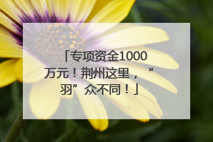 专项资金1000万元！荆州这里，“羽”众不同！