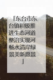 东台市东台镇积极推进生态河道整治实现河畅水清岸绿景美新愿景