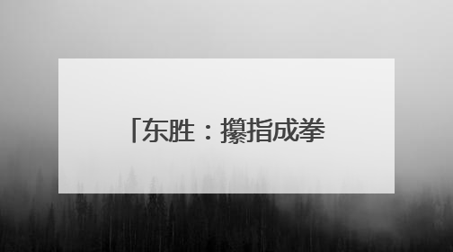 东胜：攥指成拳聚合力 “暖城善治”显真章