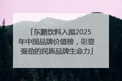 东鹏饮料入围2025年中国品牌价值榜，彰显强劲的民族品牌生命力