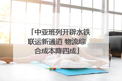 中亚班列开辟水铁联运新通道 物流综合成本降四成