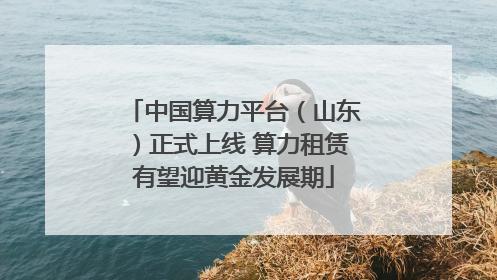 中国算力平台（山东）正式上线 算力租赁有望迎黄金发展期