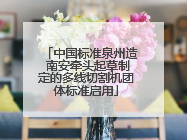 中国标准泉州造 南安牵头起草制定的多线切割机团体标准启用