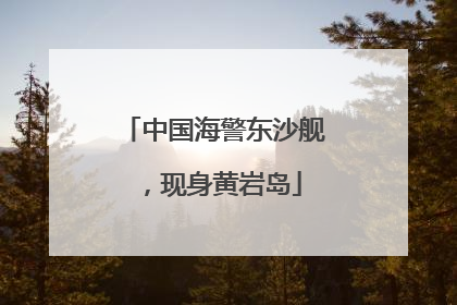 中国海警东沙舰，现身黄岩岛