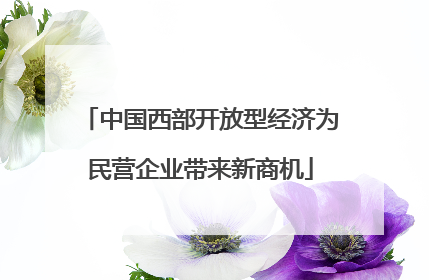 中国西部开放型经济为民营企业带来新商机