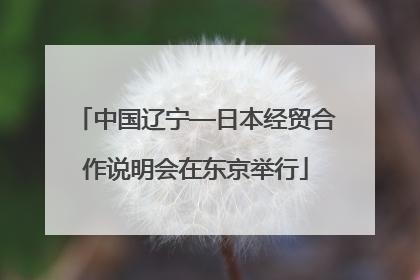 中国辽宁—日本经贸合作说明会在东京举行