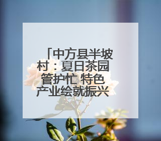 中方县半坡村：夏日茶园管护忙 特色产业绘就振兴新图景