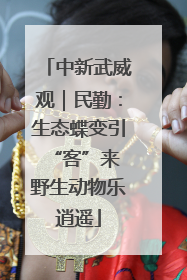 中新武威观｜民勤：生态蝶变引“客”来 野生动物乐逍遥