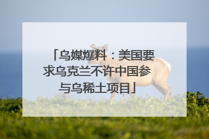 乌媒爆料：美国要求乌克兰不许中国参与乌稀土项目