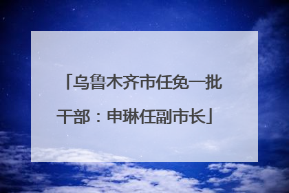 乌鲁木齐市任免一批干部：申琳任副市长