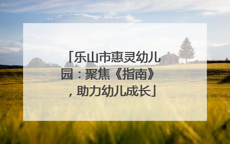 乐山市惠灵幼儿园：聚焦《指南》，助力幼儿成长