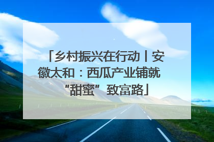 乡村振兴在行动丨安徽太和：西瓜产业铺就“甜蜜”致富路