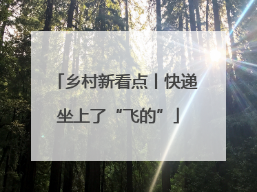 乡村新看点丨快递坐上了“飞的”