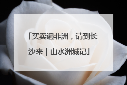 买卖遍非洲，请到长沙来｜山水洲城记