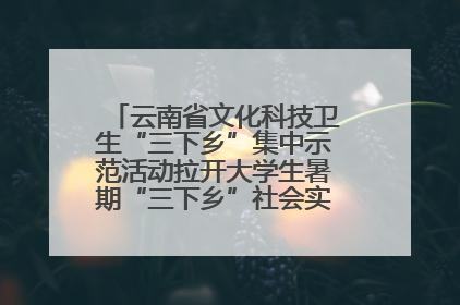 云南省文化科技卫生“三下乡”集中示范活动拉开大学生暑期“三下乡”社会实践活动序幕