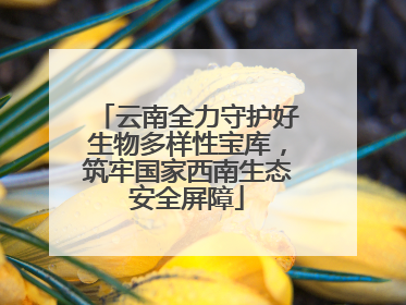 云南全力守护好生物多样性宝库，筑牢国家西南生态安全屏障