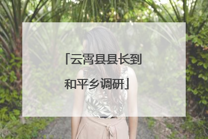 云霄县县长到和平乡调研