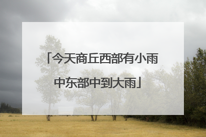 今天商丘西部有小雨 中东部中到大雨