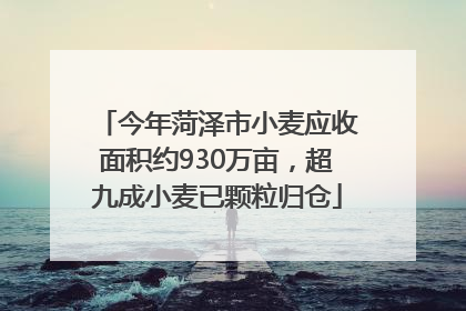 今年菏泽市小麦应收面积约930万亩，超九成小麦已颗粒归仓