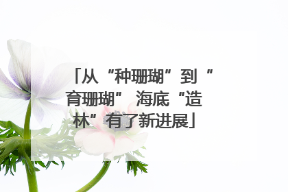 从“种珊瑚”到“育珊瑚” 海底“造林”有了新进展