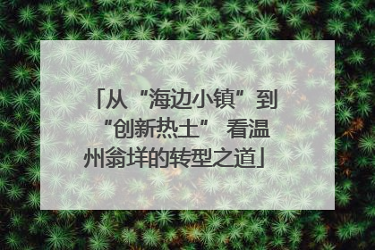 从“海边小镇”到“创新热土” 看温州翁垟的转型之道