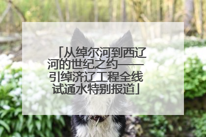 从绰尔河到西辽河的世纪之约——引绰济辽工程全线试通水特别报道
