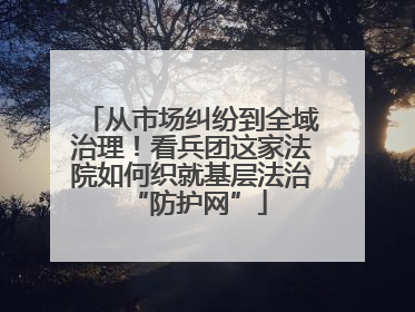 从市场纠纷到全域治理！看兵团这家法院如何织就基层法治 “防护网”