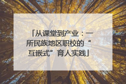 从课堂到产业：一所民族地区职校的“互嵌式”育人实践