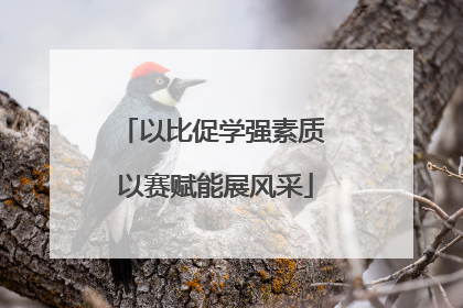 以比促学强素质 以赛赋能展风采