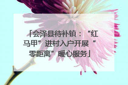 会泽县待补镇：“红马甲”进村入户开展“零距离”暖心服务