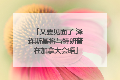 又要见面了 泽连斯基将与特朗普在加拿大会晤