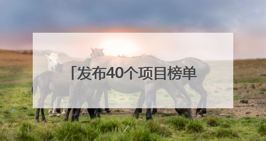 发布40个项目榜单，启动50亿元引导基金！“双向揭榜挂帅”行动成果丰硕