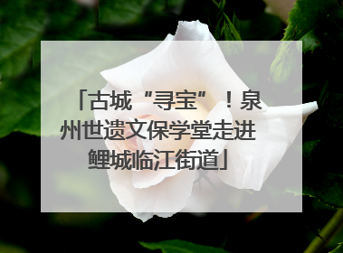 古城“寻宝”！泉州世遗文保学堂走进鲤城临江街道