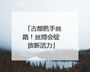 古都携手丝路！丝博会绽放新活力