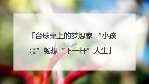 台球桌上的梦想家 “小孩哥”畅想“下一杆”人生