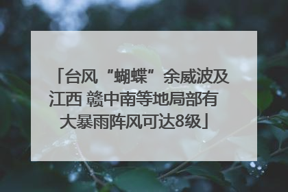 台风“蝴蝶”余威波及江西 赣中南等地局部有大暴雨阵风可达8级