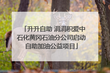 升升自助 涓涓积爱中石化黄冈石油分公司启动自助加油公益项目