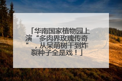 华南国家植物园上演“多肉界玫瑰传奇”，从呆萌树干到炸裂种子全是戏！