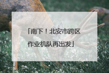 南下！北安市跨区作业机队再出发