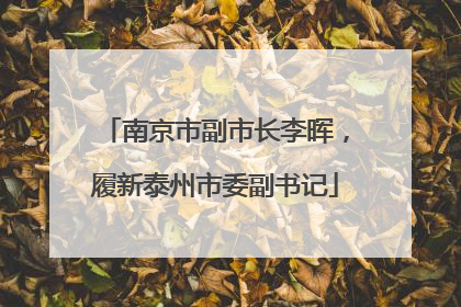 南京市副市长李晖，履新泰州市委副书记