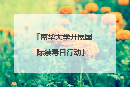 南华大学开展国际禁毒日行动