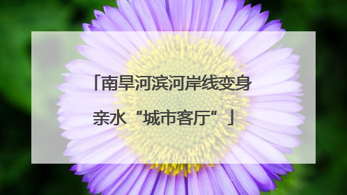 南旱河滨河岸线变身亲水“城市客厅”