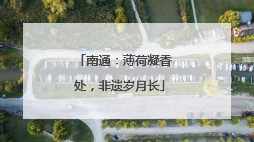 南通：薄荷凝香处，非遗岁月长