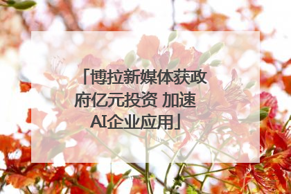 博拉新媒体获政府亿元投资 加速AI企业应用