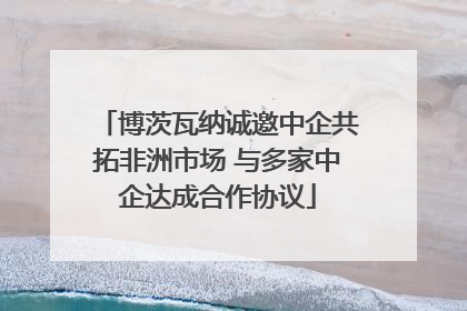 博茨瓦纳诚邀中企共拓非洲市场 与多家中企达成合作协议